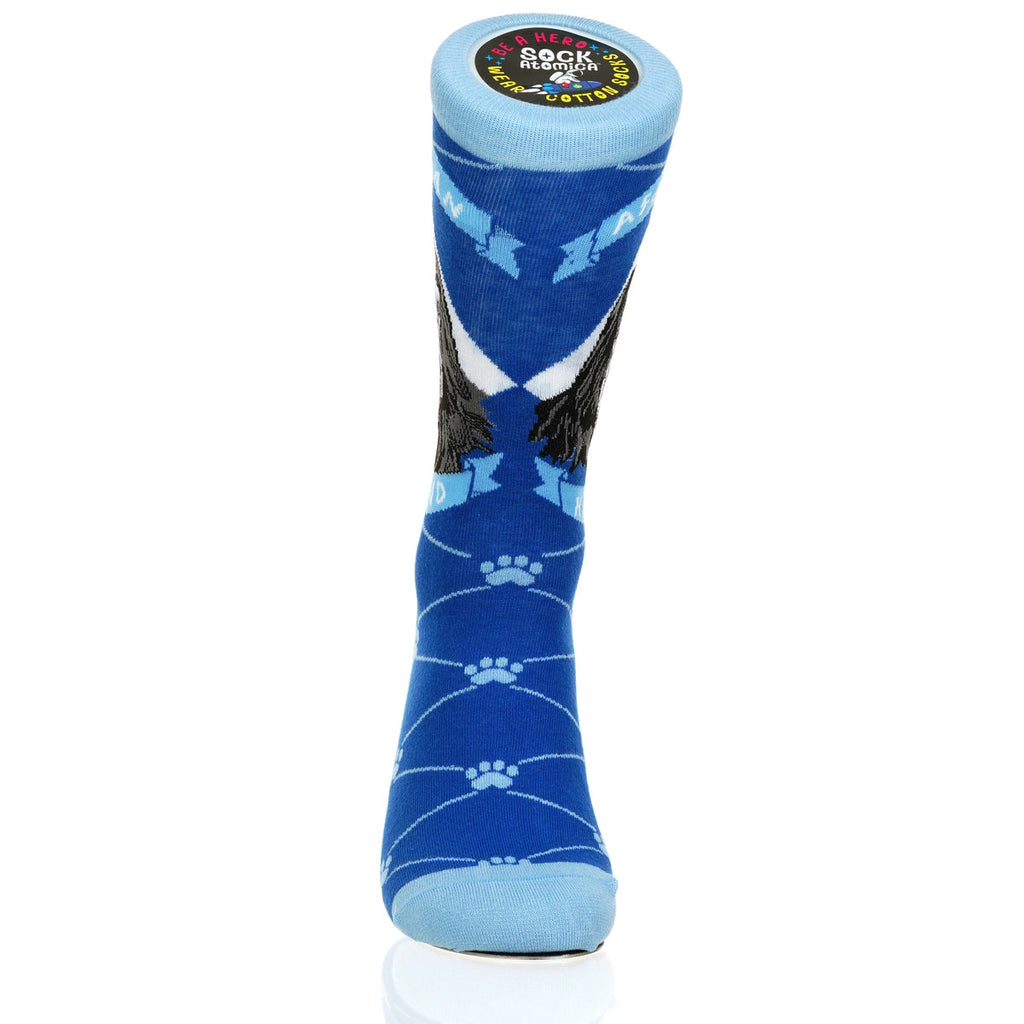 Afghan Hound | Argyle Pups