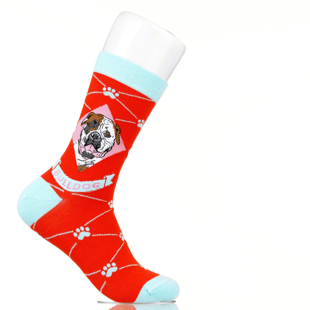 Bulldog | Argyle Pups