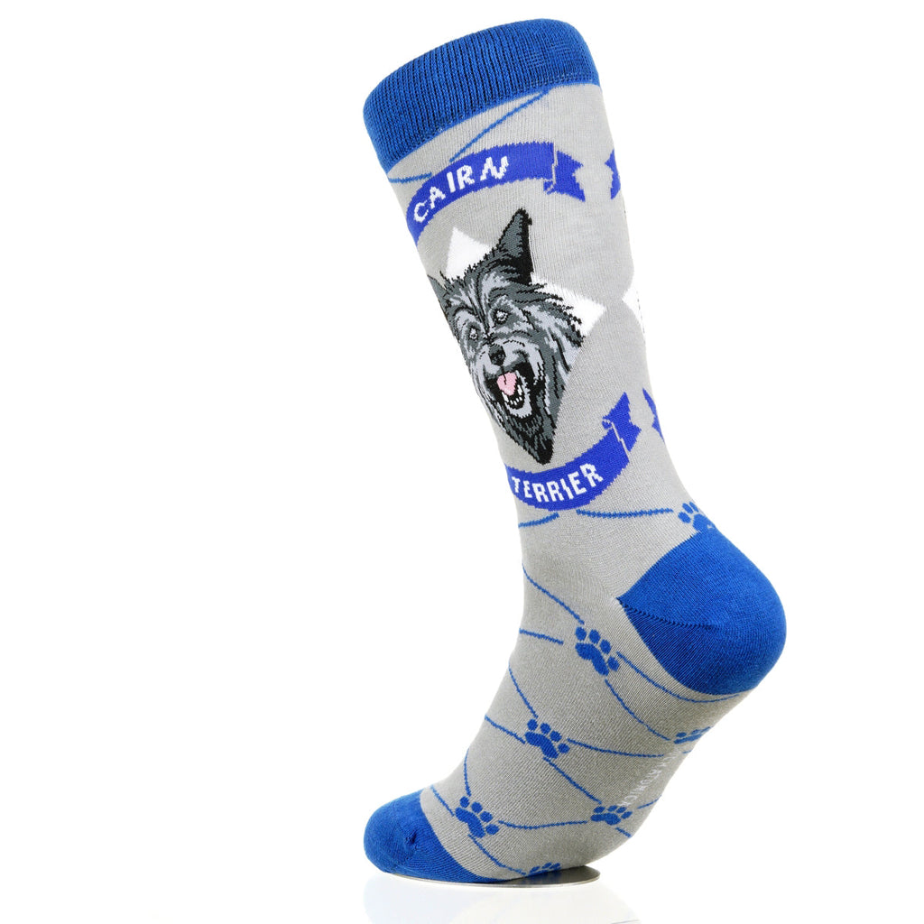 Cairn Terrier | Argyle Pups