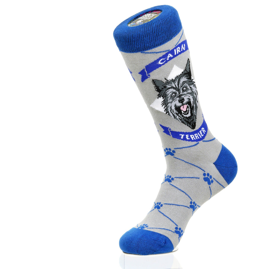 Cairn Terrier | Argyle Pups