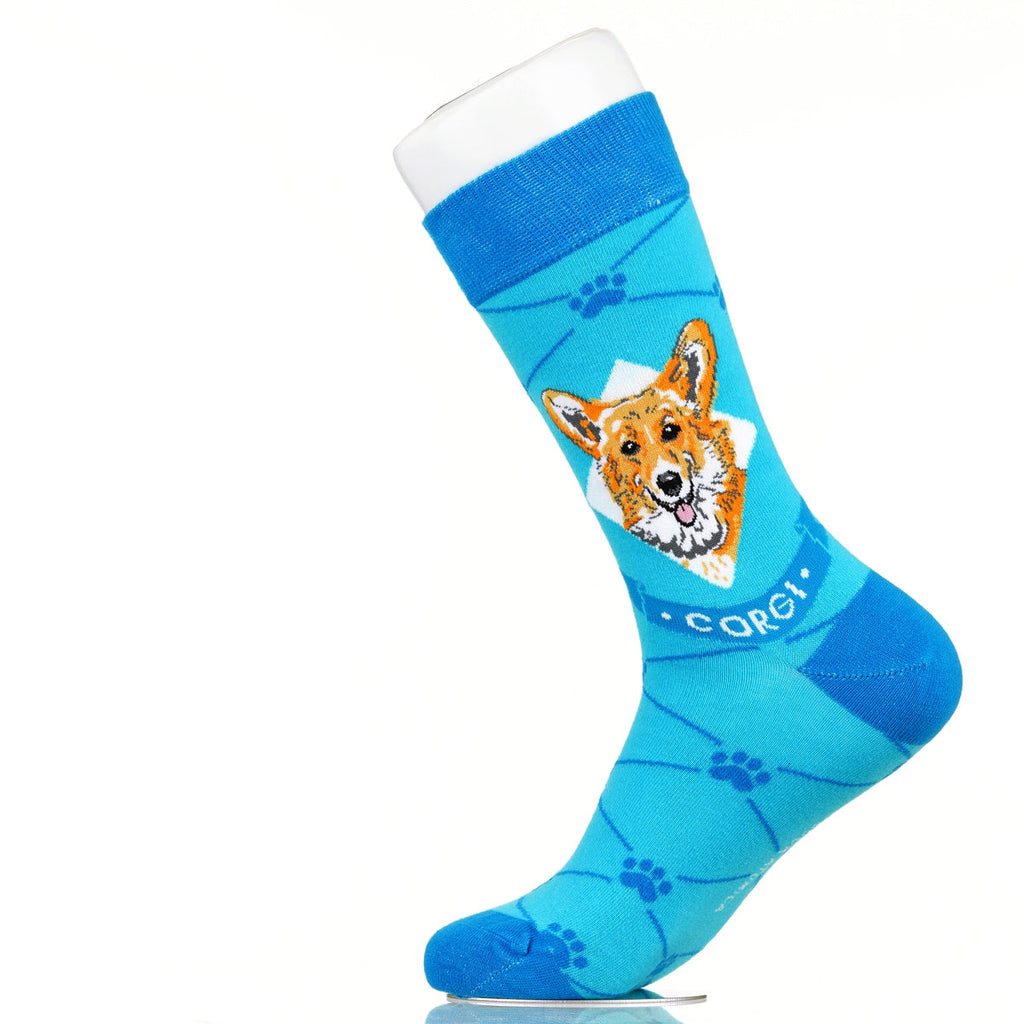 Corgie | Argyle Pups