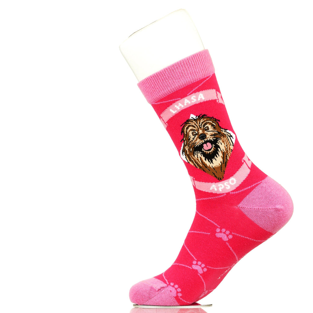 Lhasa Apso | Argyle Pups