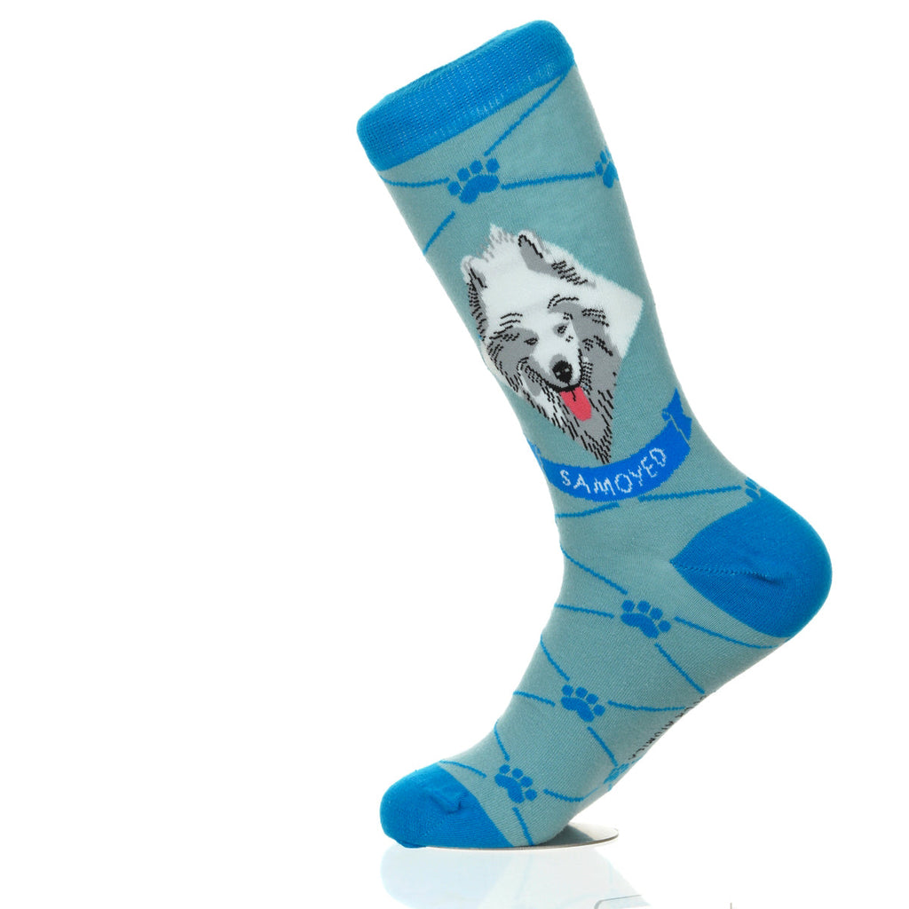 Samoyed | Argyle Pups